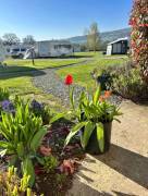Daisy Bank Caravan Park 