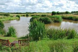 Mosswood Caravan Park 