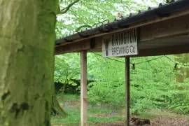 CARAVAN SITE AT HOME FARM