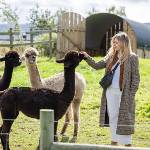 Catgill Farm - Camping and Glamping, Bolton Abbey,